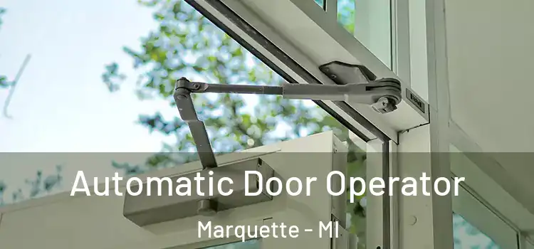 Automatic Door Operator Marquette - MI