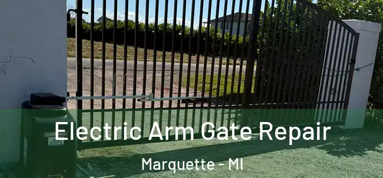Electric Arm Gate Repair Marquette - MI