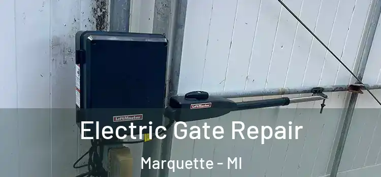 Electric Gate Repair Marquette - MI