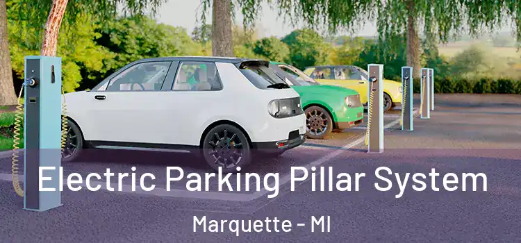 Electric Parking Pillar System Marquette - MI