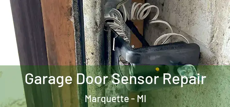 Garage Door Sensor Repair Marquette - MI