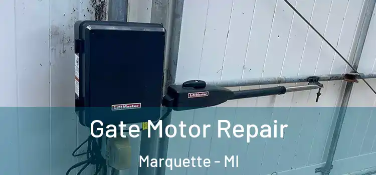 Gate Motor Repair Marquette - MI