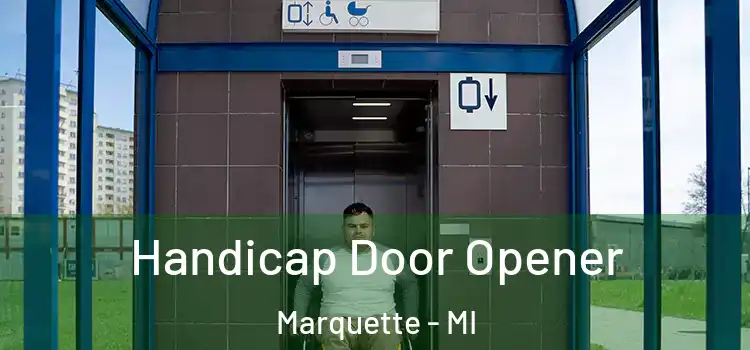 Handicap Door Opener Marquette - MI