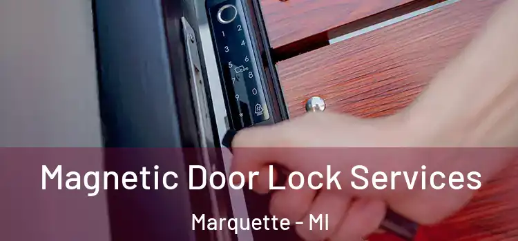Magnetic Door Lock Services Marquette - MI