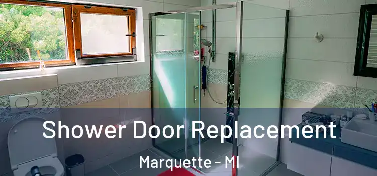 Shower Door Replacement Marquette - MI