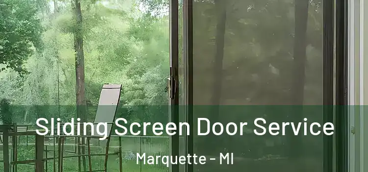 Sliding Screen Door Service Marquette - MI